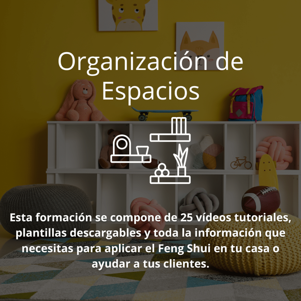 Organizacion espacios
